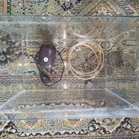 آکواریوم شیشه خم