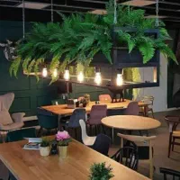 استخدام باریستا و نون تونسی زن