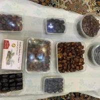 عرضه عمده خرما