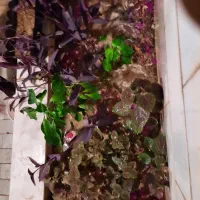 سیمکارت دائمی همراه اول۰۹۱۳۴۹۶۸۹۴۳