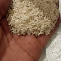 برنج خوش بخت ضیغمی