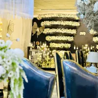 سالن عقد و تالار cip شب ماندگار