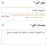 گوشواره گمشده