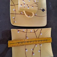 ظروف سرامیکی دلفین