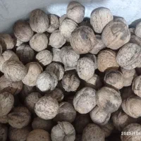 تنقلات|عمده‌فروشی|اسدآباد, |دیوار