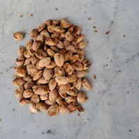 کودهای شیمیایی|خدمات باغبانی و درختکاری|ماهدشت, |دیوار