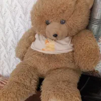 شاسخین