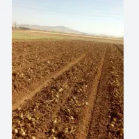 اجاره زمین کشاورزی