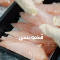 قطعات مرغ گرم شمال درجه۱*عمده*بی واسطه