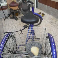 سه چرخه سایز22کارکرده|دوچرخه، اسکیت، اسکوتر|اصفهان, باغ فردوس|دیوار