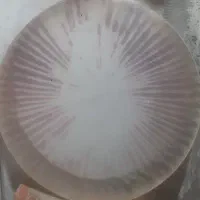 دف زنگدار