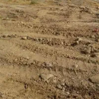 زمین-240متری-فروشی-واقع-در-دزک-بالا