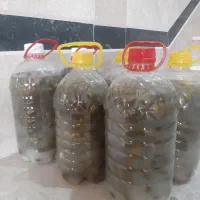 خیار شور|خوردنی و آشامیدنی|سنندج, |دیوار
