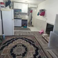 واحد-یک-خواب-نقلی