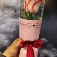 رز طلقی|گل و گیاه طبیعی|تهران, آهنگ|دیوار