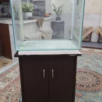 اکواریوم بزرگ با کمد|ماهی|یزد, |دیوار