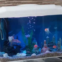 آکواریوم شیشه خم