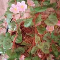 گل ریسه ای زیبا|گل مصنوعی|کرج, حسین‌آباد|دیوار