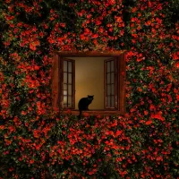 زمین  فروشی گوار