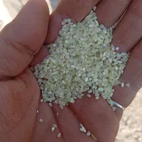 فروش برنج درجه یک کامفیروز|خوردنی و آشامیدنی|بندر گناوه, |دیوار