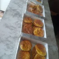 کلوا وبرساق خانگی