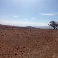 زمین گلخونه