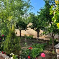باغ درختان میوه آب برق سند شاهنامه گوارشک دیاکو