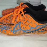 کفش|کیف، کفش، کمربند|قوچان, |دیوار