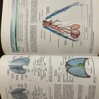 آناتومی اسنل پزشکی ویرایش ۱۰|کتاب و مجله آموزشی|رشت, منظریه|دیوار