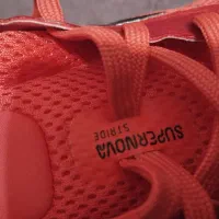 کفش|کیف، کفش، کمربند|ایلام, |دیوار