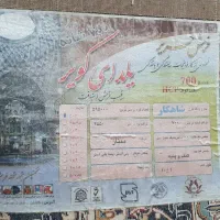 دو قطعه فرش ۱۲ متری ممتاز کاشان تراکم ۲۵۵۰در حد نو|فرش|رامهرمز, |دیوار