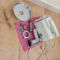 چرخ گوشت باگنشت
