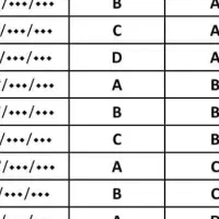 ضامن وام مهربانی رتبه cهستم