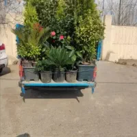 خدمات باغبانی گلکاری تعویض خاک گلدان باغچه