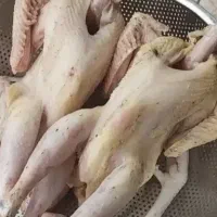 مرغ و خروس رسمی و طبیعی کشته شده و پاک شده|حیوانات مزرعه|اسلام‌شهر, چیچکلو|دیوار