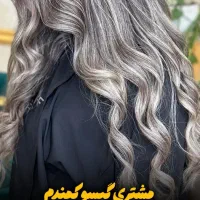 رنگ ولایت . کاملا  رایگان فقط ۳نفر