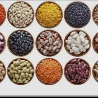 حبوبات بسته بندی