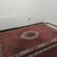 فرش ۶ متری ریز ماهی
