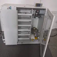 دستگاه جوجه کشی کبیر یزد