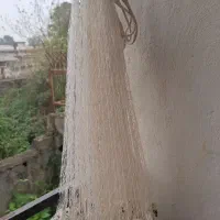 ماشک ماهیگیری|ماهیگیری|رشت, لاکان شهر|دیوار