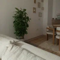 درختچه طبیعی پتوس غول معاوضه با هرچی به کارم بیاد