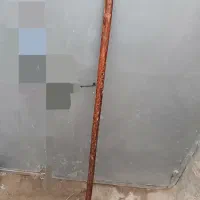 گوسفند|حیوانات مزرعه|نظر کهریزی, |دیوار