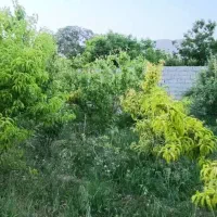 باغ-730-متری-آردهه-شهر-کوهسار