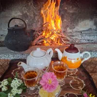 اجاره روزانه باغ در نجف‌آباد (فقط خانواده)