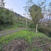 فروش-زمین-800-متری-در-شهرستان-لاهیجان