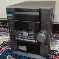 ظبط