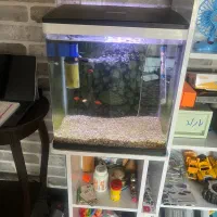 آکواریوم دلسا