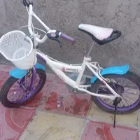 دوچرخه سالم 16