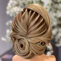 شنیونکار اماده همکاری با سالندار