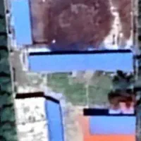 یک واحد دامداری به اجاره واگذار میشود